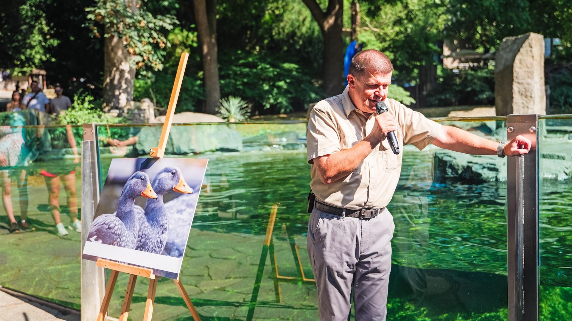 Pražská paroplavba kmotrem kachyní parníkových — fotografie 4