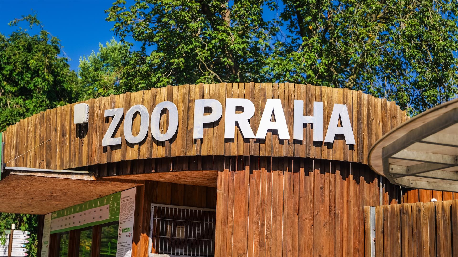 Pražská paroplavba kmotrem kachyní parníkových — fotografie 44