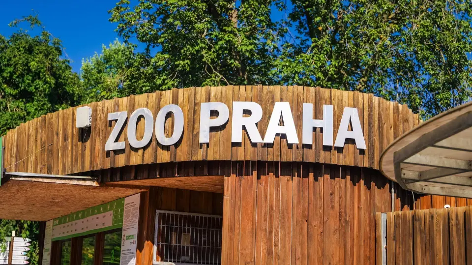 Pražská paroplavba kmotrem kachyní parníkových — fotografie 44